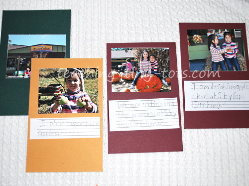 Pages for a home made photo book.
