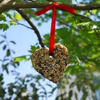 How to Make a Birdseed Biscuit