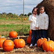 pumpkin science experiments