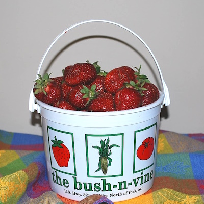 fresh-picked-strawberries