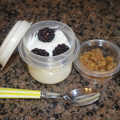 Homemade Greek Yogurt with Fruit and Granola